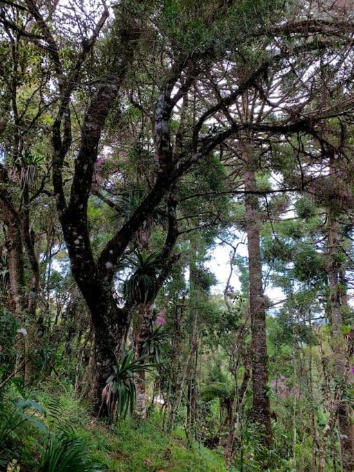 Autentica Casa De Montanha - Rota Turistica Casa de férias Campos do Jordão
